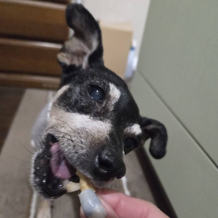 A476da59 8319 42ac b744 2847b3106b8a 1771530609773