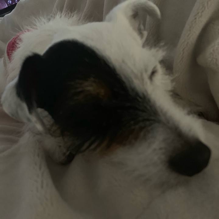 A476f940 a797 449c bb63 92d294291f2a 1550218106260