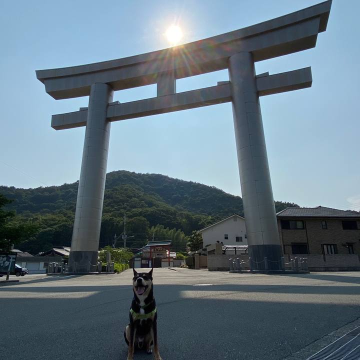 A4771780 6bbd 4082 ba7c 141c3b6a5455 1624578764956