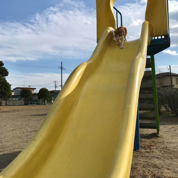 A4774a03 851e 420f bda3 0c8ae79dfbf5 1511692793506