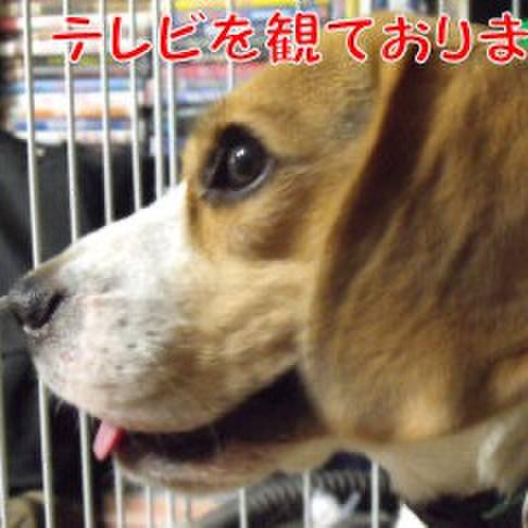 A4775911 8fb0 46f0 b202 b10b428db5b7 1724715688006