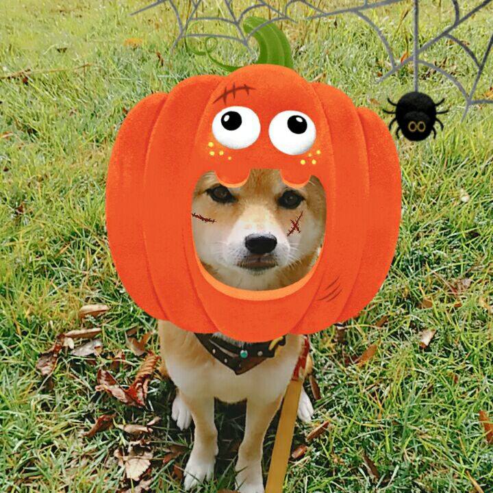 A47787d8 a614 4d6f 8937 5f6c25010acb 1572396156113