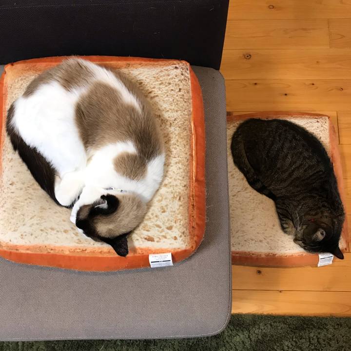 A4778a35 d2d4 47cb b607 7d5f1596c00b 1551931264201