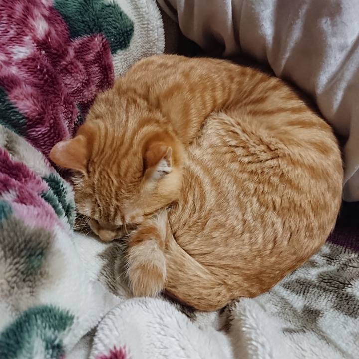 A477a15f 5678 4a1d 8740 3f7a4858cace 1644929806409