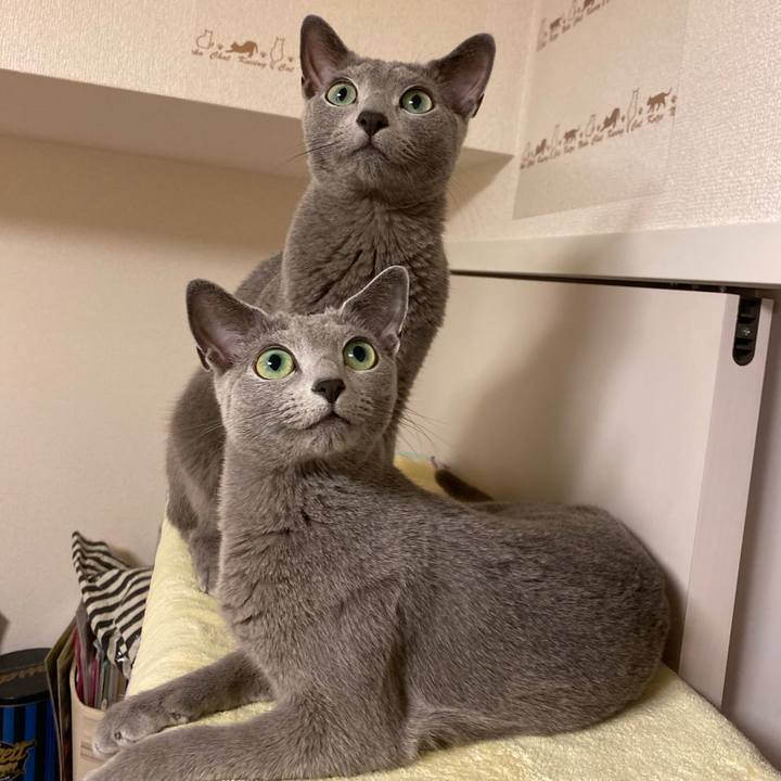 A477af3f a121 47fc b06e eeef6676d2e7 1660718934691