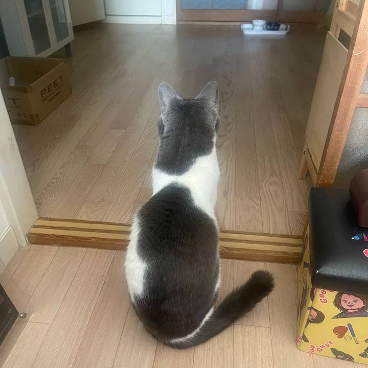 A477bae7 b9fc 4d62 a9bc 89867b104858 1708139133195