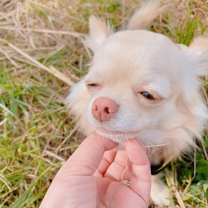 A477d66d 5932 49eb a0bd ffdce65c5e29 1614850053807