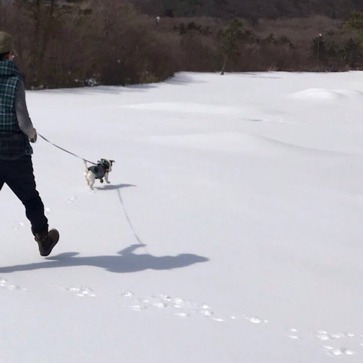 A477d8a0 898e 4f09 8497 41c731f66baa 1553248724351