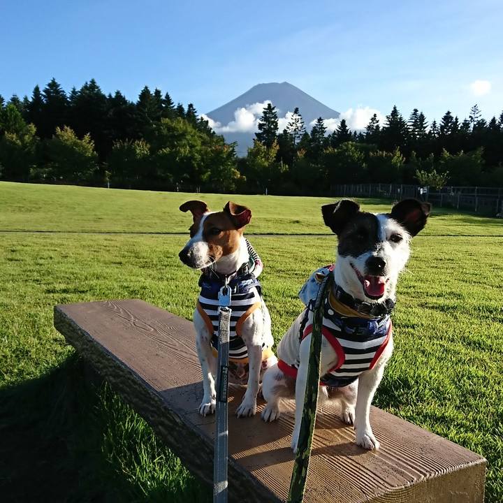 A477e475 7613 4ad2 adbf fef5ccc9fc00 1534925605867