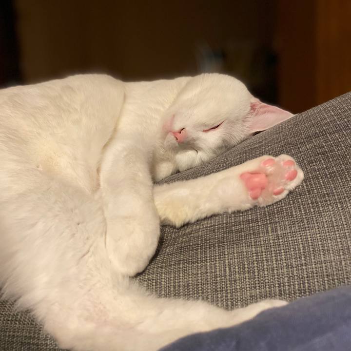 A477e961 3876 42c3 833f 831ae8a02368 1585148153550