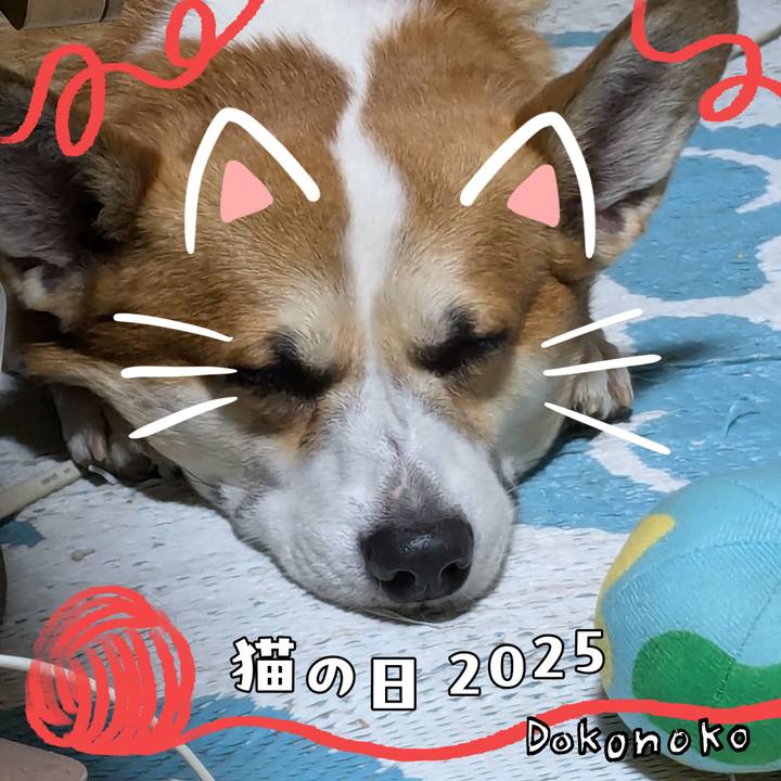 A47812a1 2589 4c1a b963 c1f56c2ea05a 1740221075878