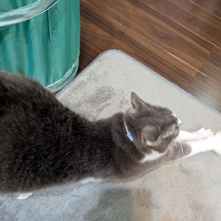 A4782c91 b047 4e0e 9e01 1a3a57029edb 1736978694220