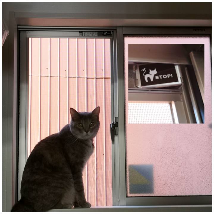 A4783b5a a1b6 43d3 9b6f 57fdfe613d16 1568684303345