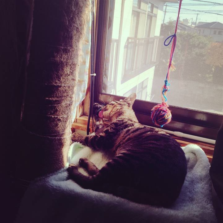 A47849e9 3779 4799 a509 b64be5f28869 1542678055364