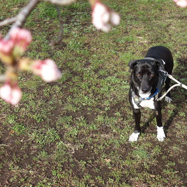 A47850b8 2ac8 40a0 89f3 4cc198fbd59d 1647995850582