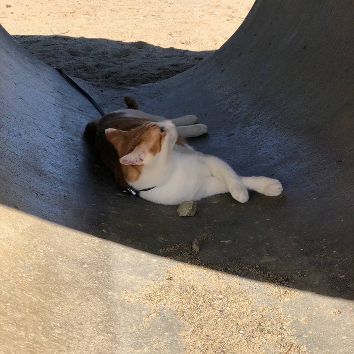 A4785b8c 8a57 4105 b562 da8af4e4ba4a 1538973833045