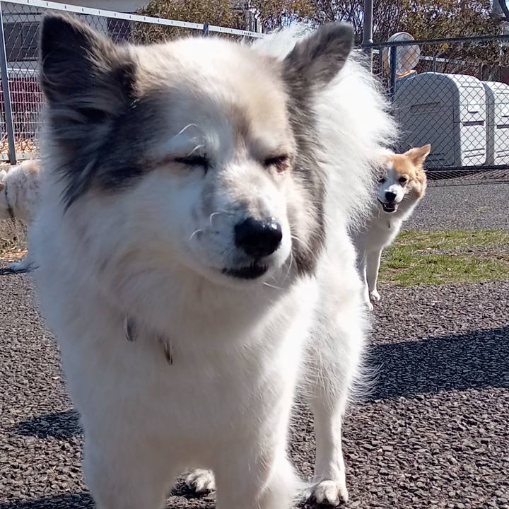 A4785f0f 81d2 4d84 8872 662280a6fa3e 1647430209742