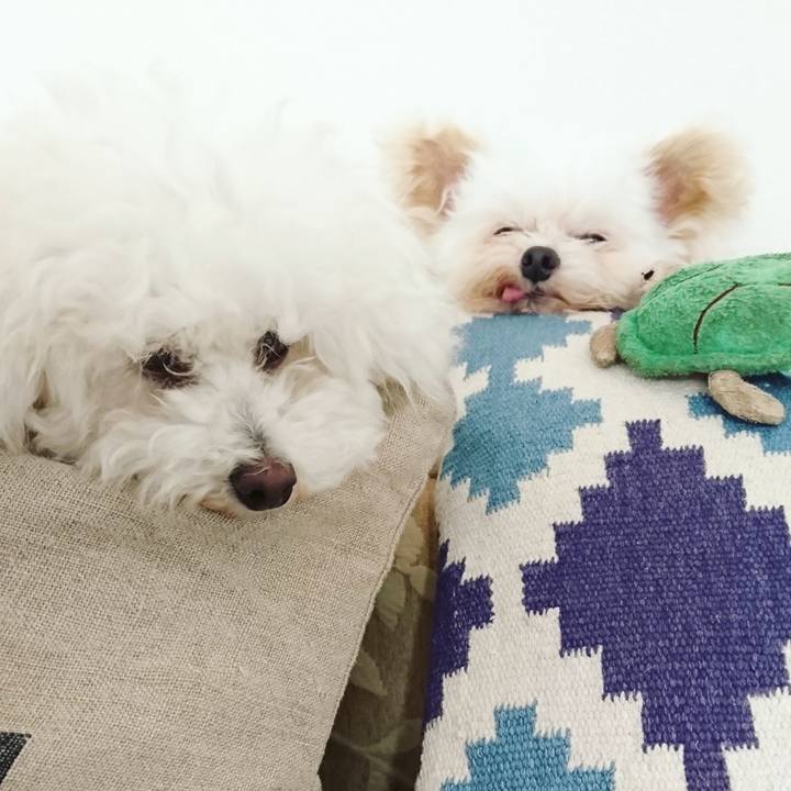 A4786b02 e6dd 42ed 9101 45696814a25f 1529463206568