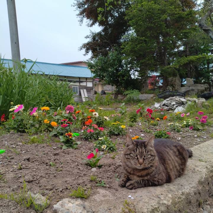 A4788ddc 4e9b 48b8 9001 0332cecb7fb4 1686038905444