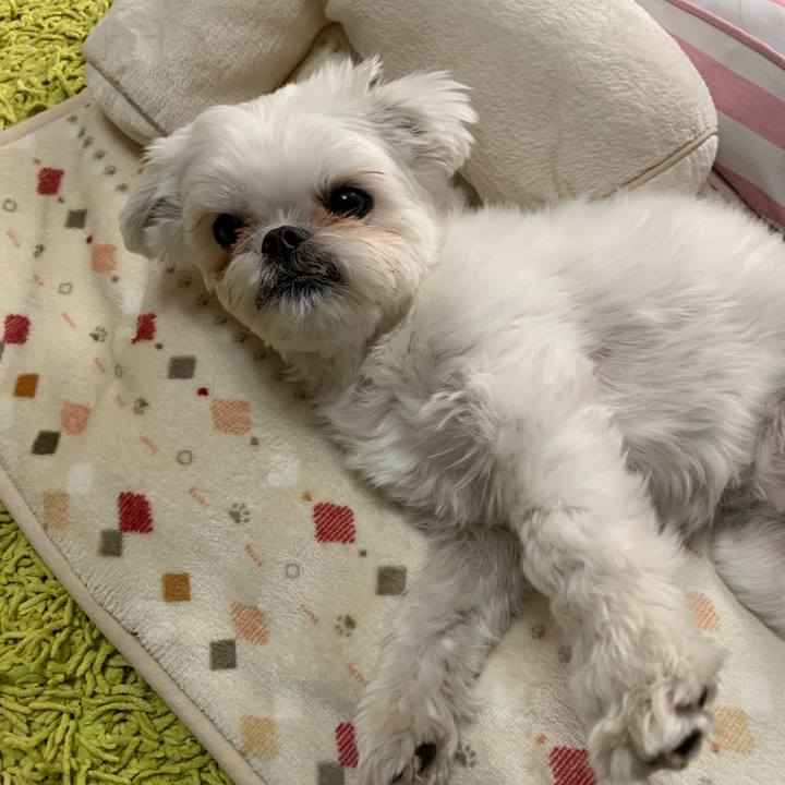 A478a91f 501d 492b a08b c08f22b46714 1674137303584