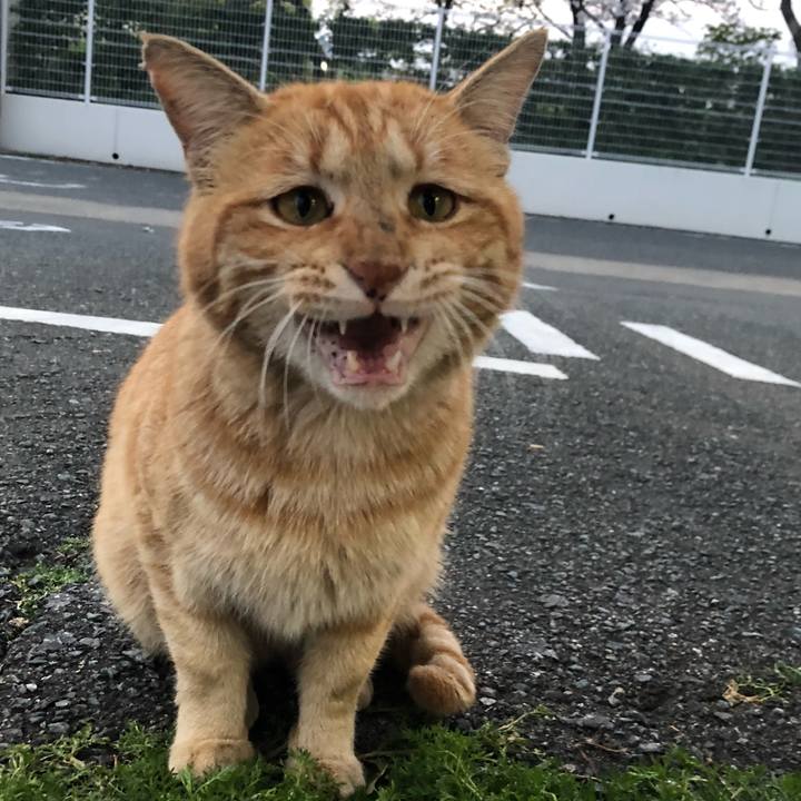 A478b03f efa6 4a7b b198 8b9124c2598b 1585912657920