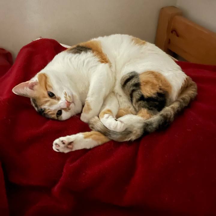 A478b19b 9f6c 4334 90ec df67f52e7f4b 1619965053474