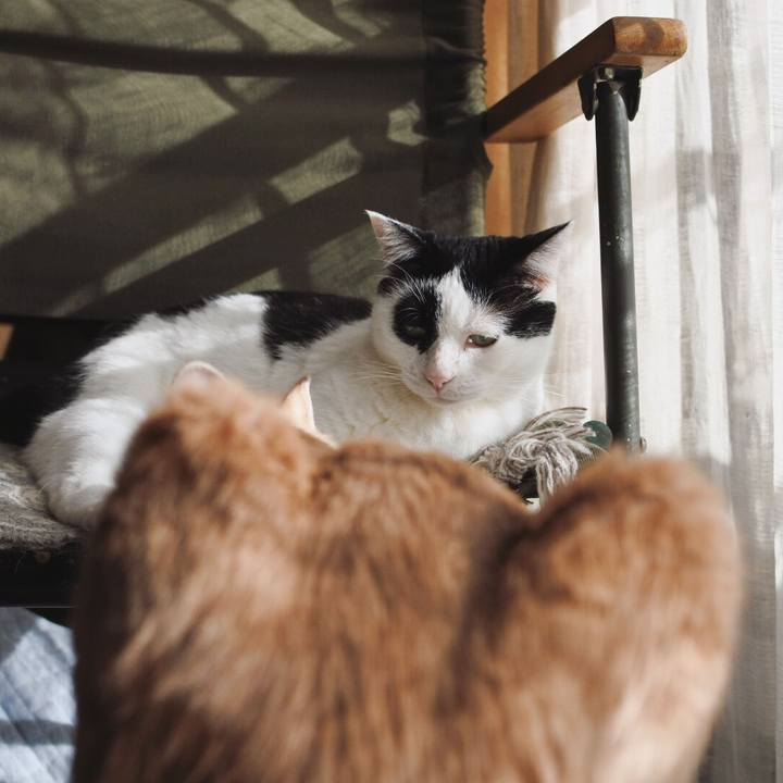 A478c8cf c3a1 4e95 8221 fa5c14835e20 1588857433076