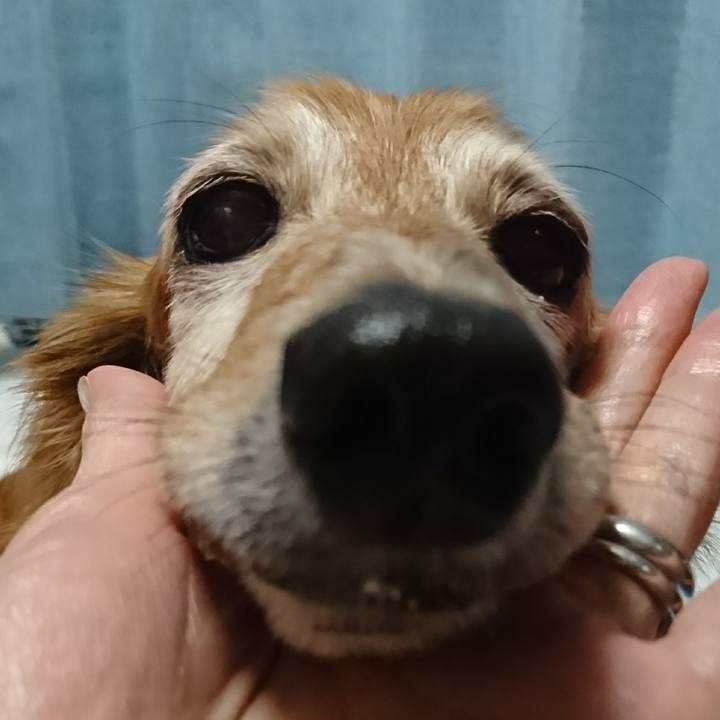 A478d2e9 7ecd 4f5d a398 e98a2c9f6b84 1508148483756