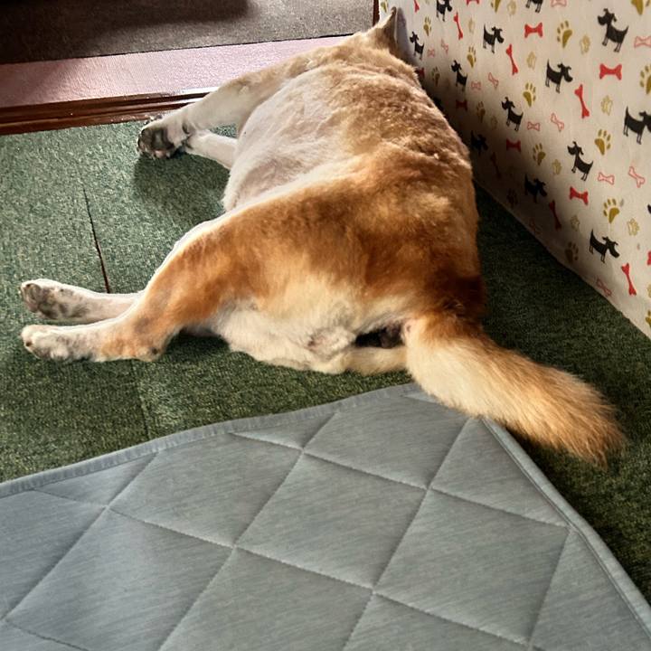 A478d332 69b5 43a4 a4a5 a6911c40bbb7 1753172335352