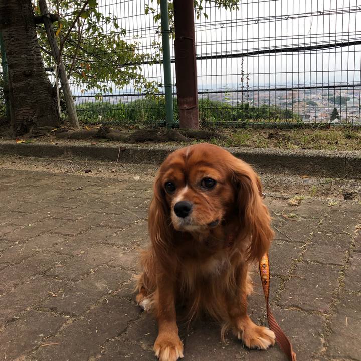 A478e1ca 71a1 4eb3 8e0e 49f5fcff47ba 1600517584701