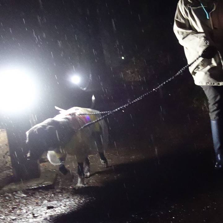 A478e3f0 15c3 40a9 a200 424355c9b69d 1611395528913