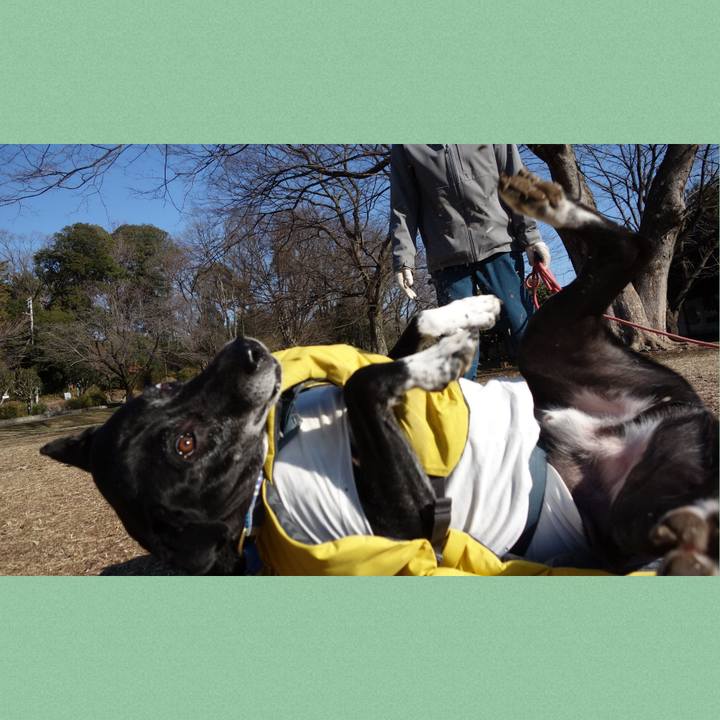 A478f54e 7084 472a 956e f14386e9de68 1741568095074