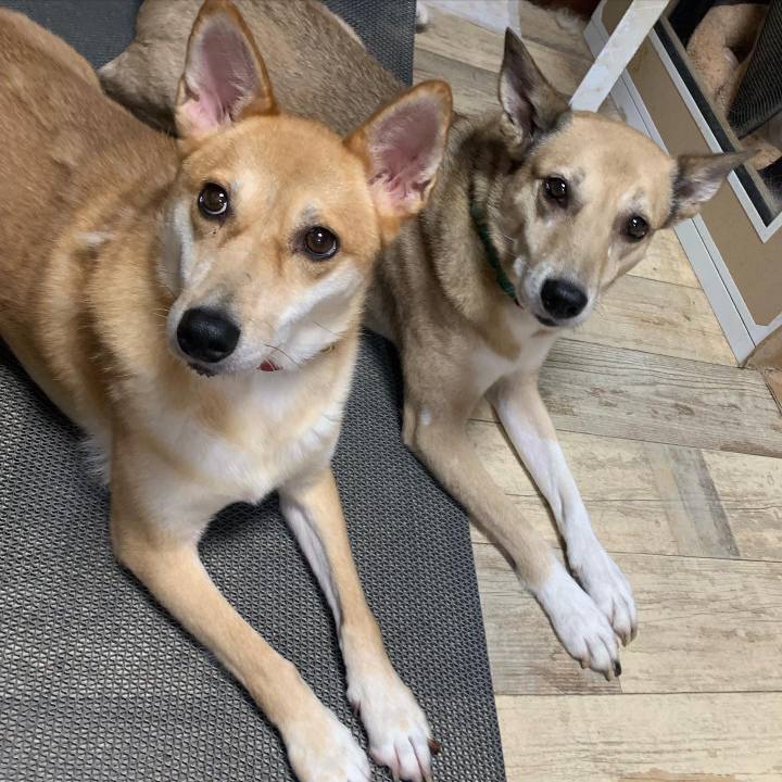 A4793e2a afae 41e2 bc76 deb07fb1caed 1662296455453