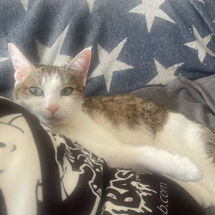 A4798e53 5985 4ce4 9e7e a320bbe4854b 1641093288026