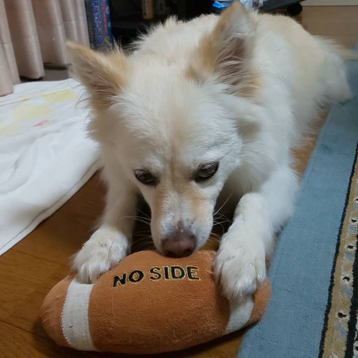 A479b8ee afdd 45c0 9f9f d402d2f149cf 1601170909822