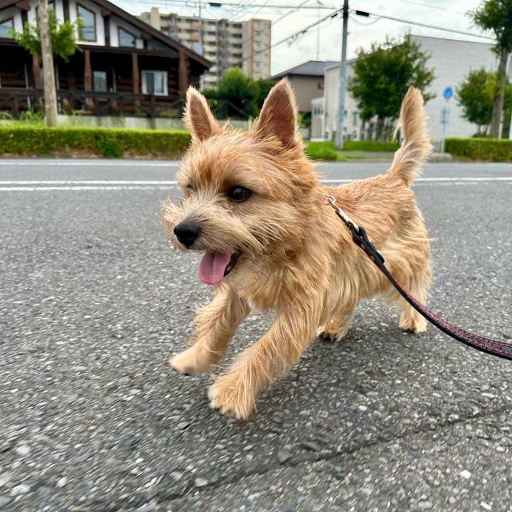 A479d369 e82d 4fef acef 1a9bfa318ca0 1728109904457