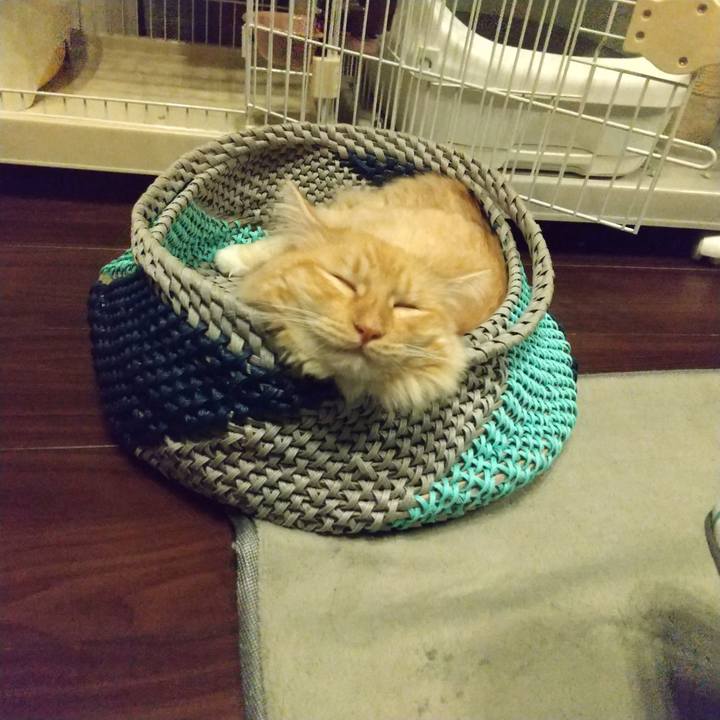 A479eb6c 975d 40b4 9fd9 d5f8bbac9030 1628078370611