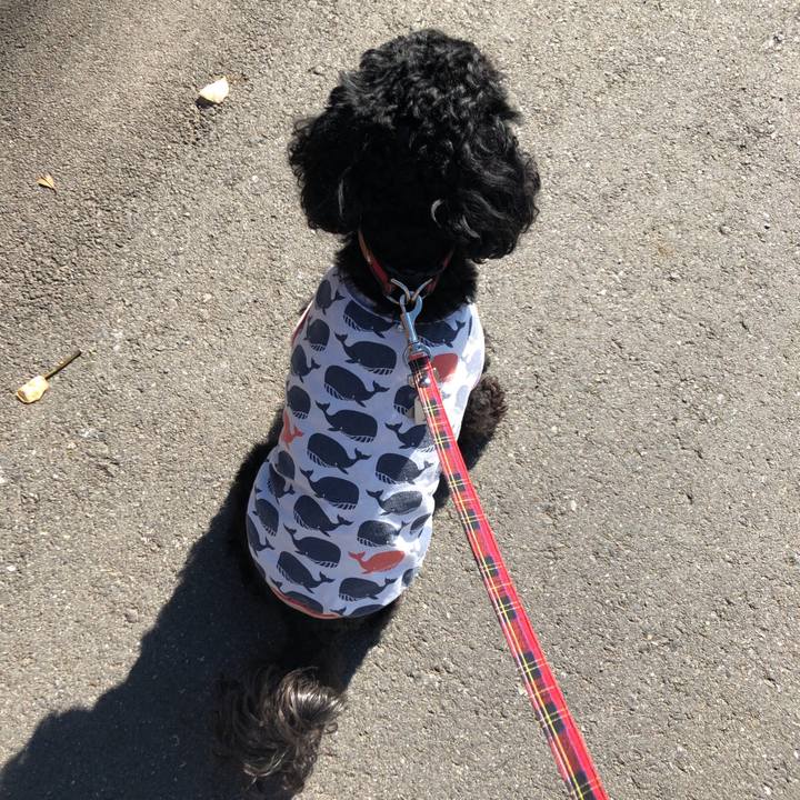 A479efec c6cb 46a1 9354 2043a3032704 1555380658701