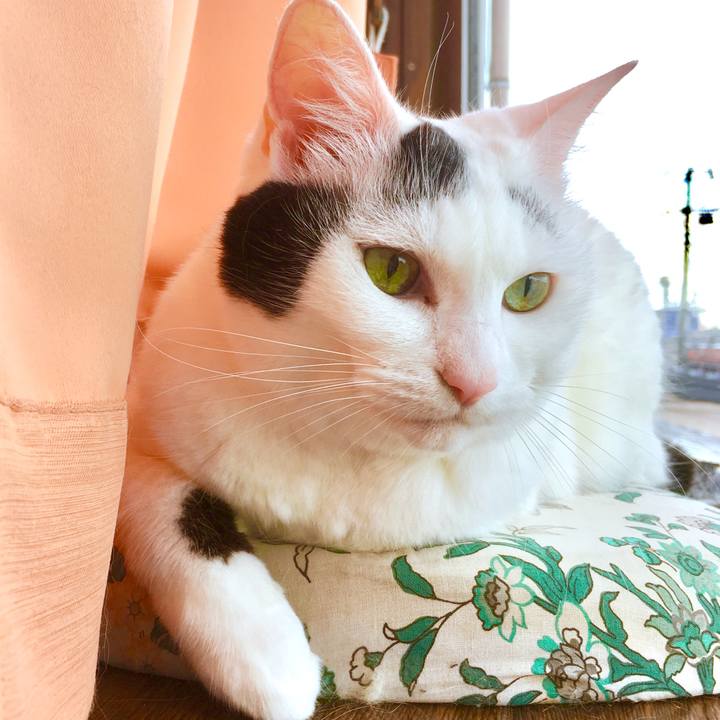 A479f97f 744b 45aa 89fb a482acb976d4 1564297952467