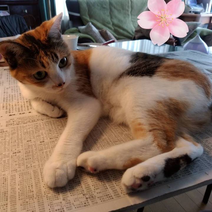 A47a11ad 8bdd 4671 9e4e 9e6aabc04d4f 1647047170415