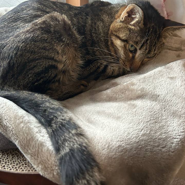 A47a1eb2 1c08 446c 9074 46f9e1e45071 1775033059606