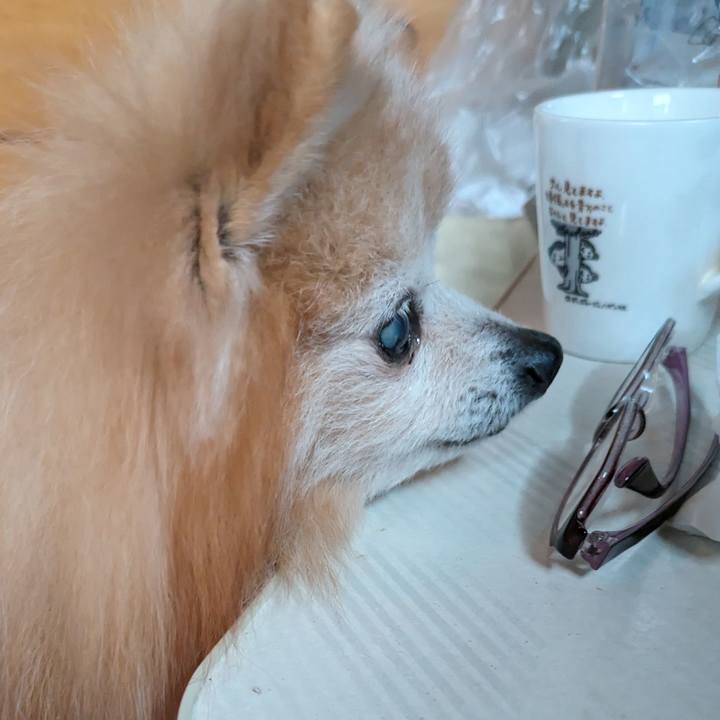 A47a49f4 bb61 4c2e ae07 6ef0b9008273 1718658079913