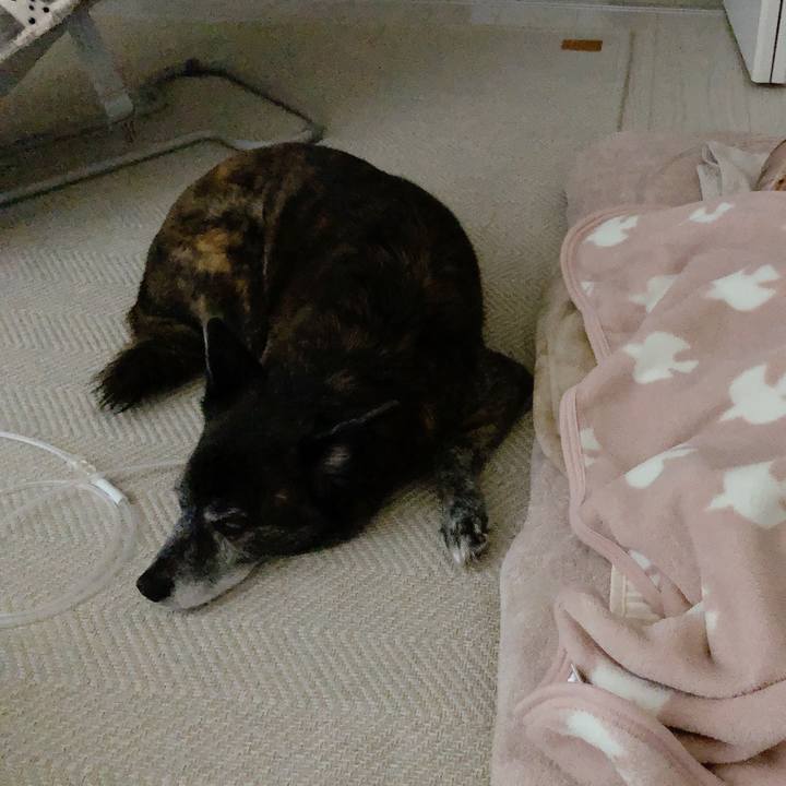 A47a598c 46d5 4368 92e3 fb6c1ecb47d9 1706958478813