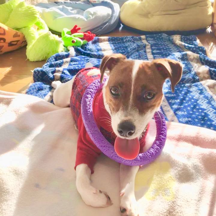 A47acddd e763 4729 b522 f43f5b902317 1545212340704