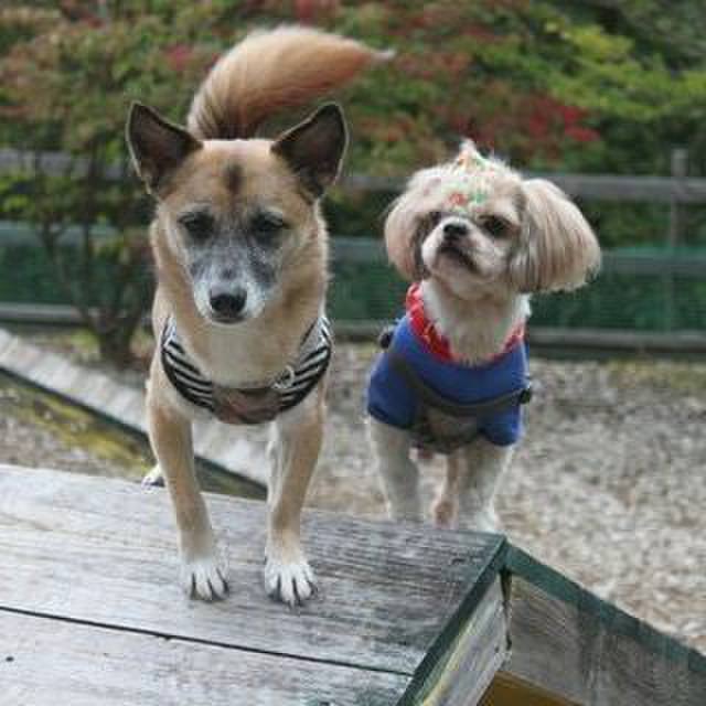 A47acf59 fbf8 41a0 b59e afffaeb84bdf 1569250124321