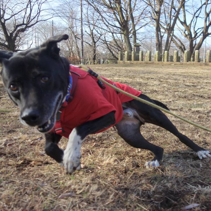 A47b1842 edd1 442a b716 89cf0c704851 1676597515896