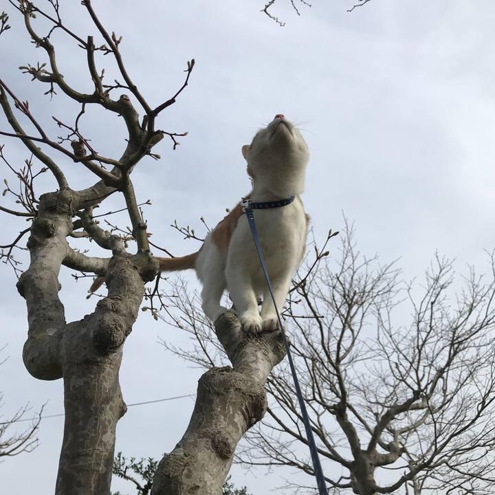 A47b2283 c749 4fb2 b424 3c81a99028f2 1522911412803