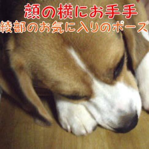 A47b330a 9cad 449c ab69 01c3776a6094 1720482453606