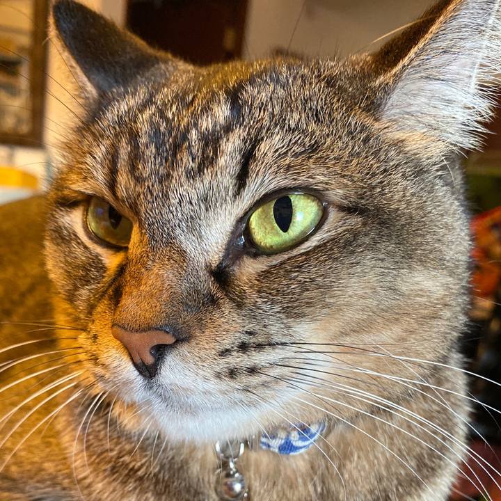 A47b3b99 4462 4722 ab30 4b0d6e319574 1575099776767