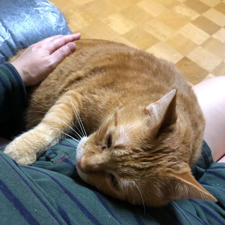 A47bac16 cf07 4a28 b029 701cb24e8cb9 1591101981350